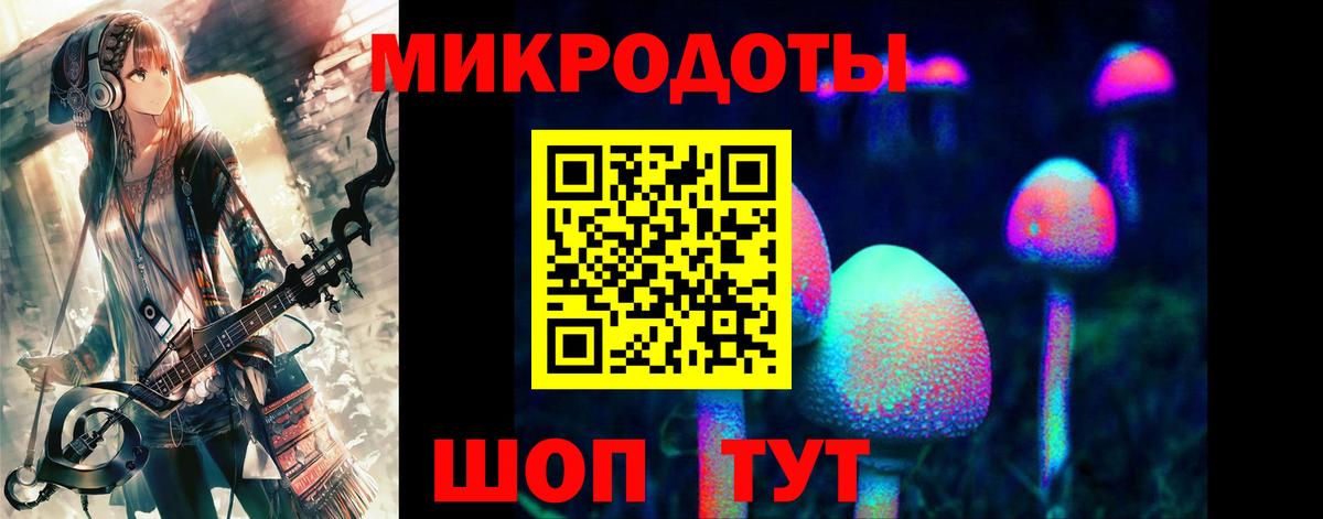 Галлюциногенные грибы Psilocybine cubensis Сальск