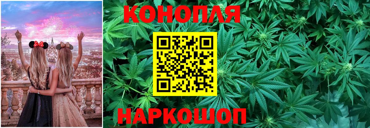 Бошки марихуана индика  Марихуана конопля  Сальск  Вход с VPN 